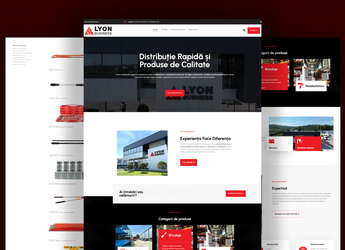 Lyon Business Project